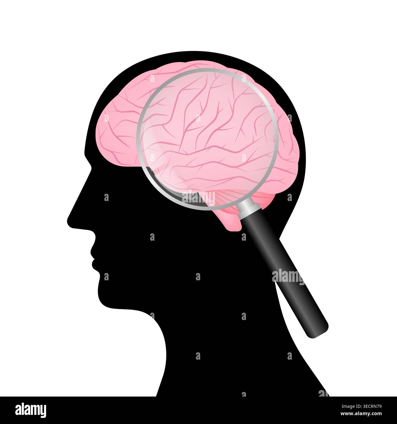 Human Brain with Magnifying Glass. Brain Analysis. Mental Health and ...