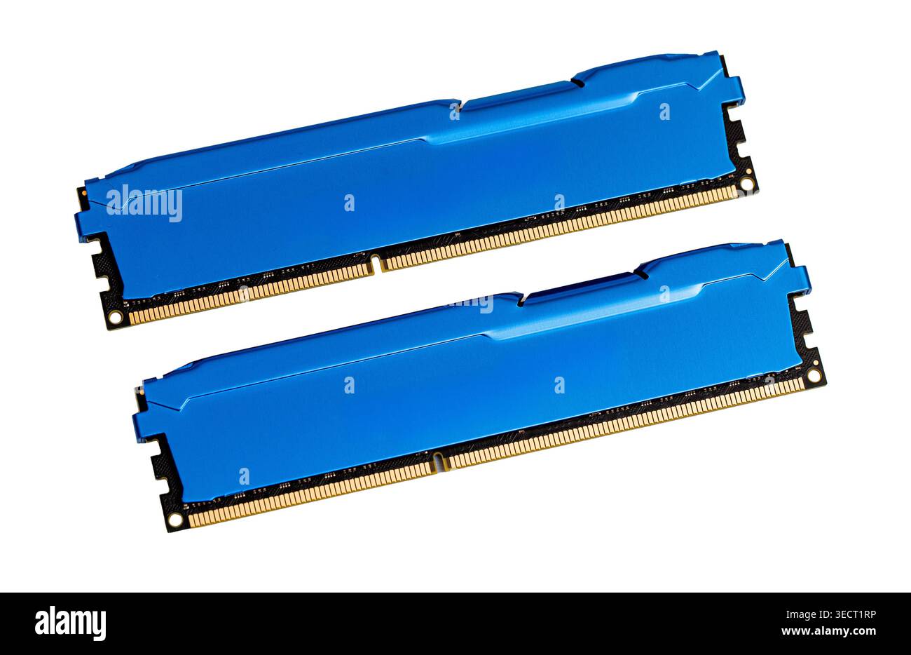 Two blue ram memory modules providing fast data processing for computers Stock Photo