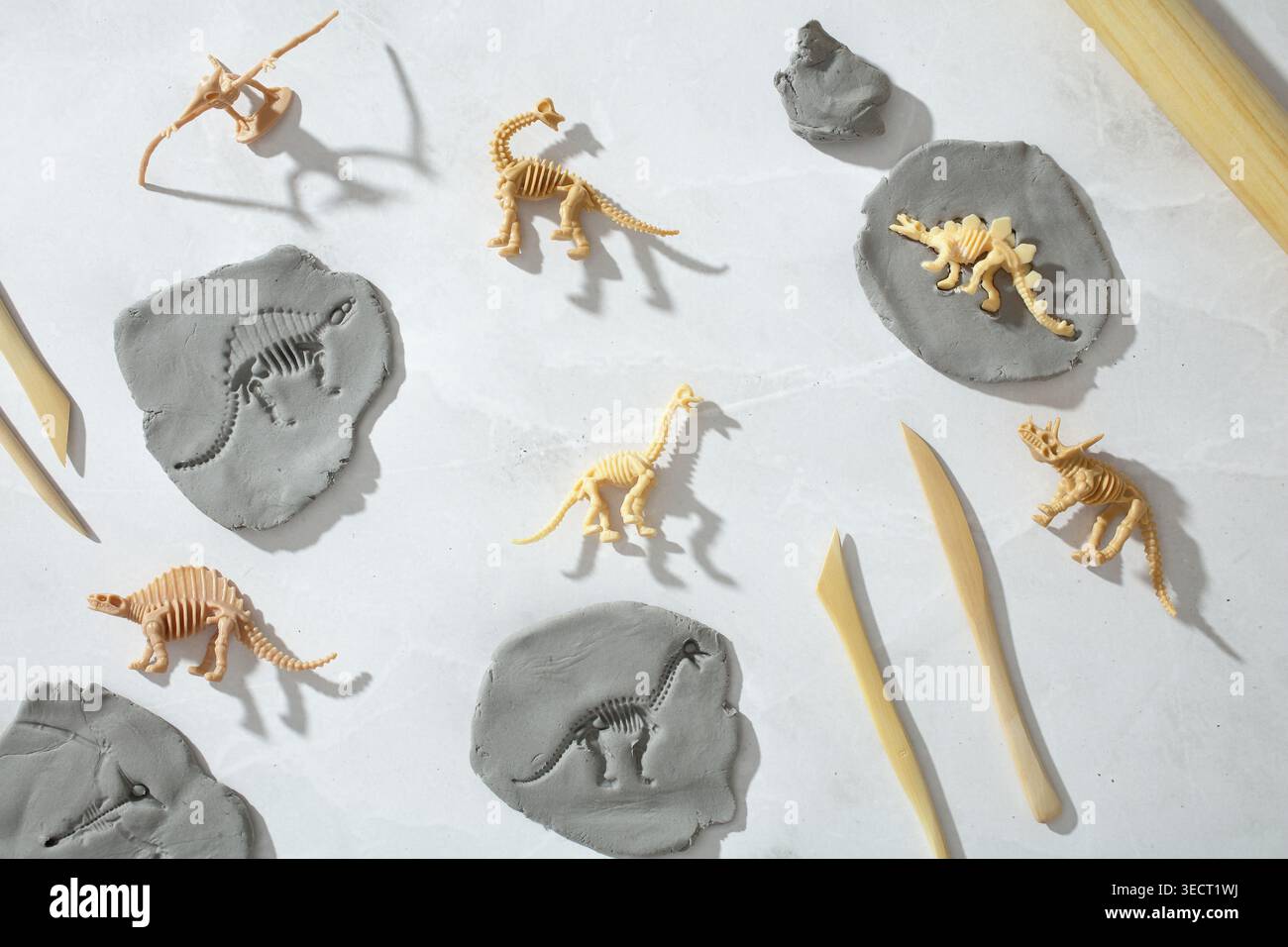 Homeschool STEM paleontology activity with dinosaur skeleton models ...