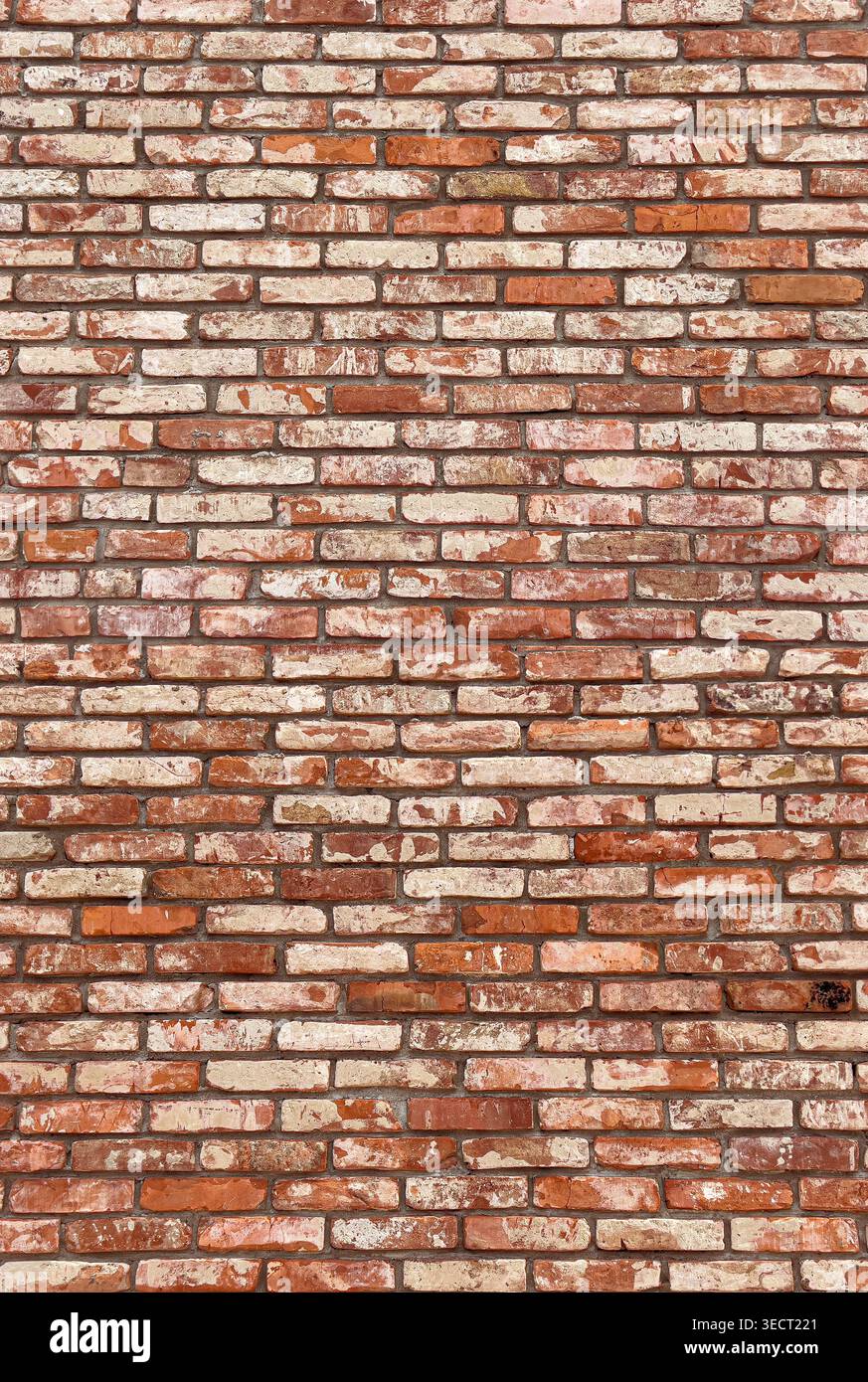 Weathered red brick wall forming a textured architectural background Stock Photo