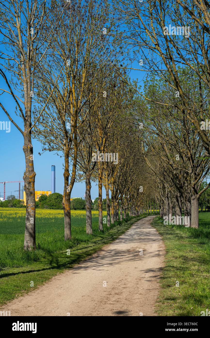 Cycling and hiking trail in the west of Frankfurt, Hesse, Germany Stock Photo