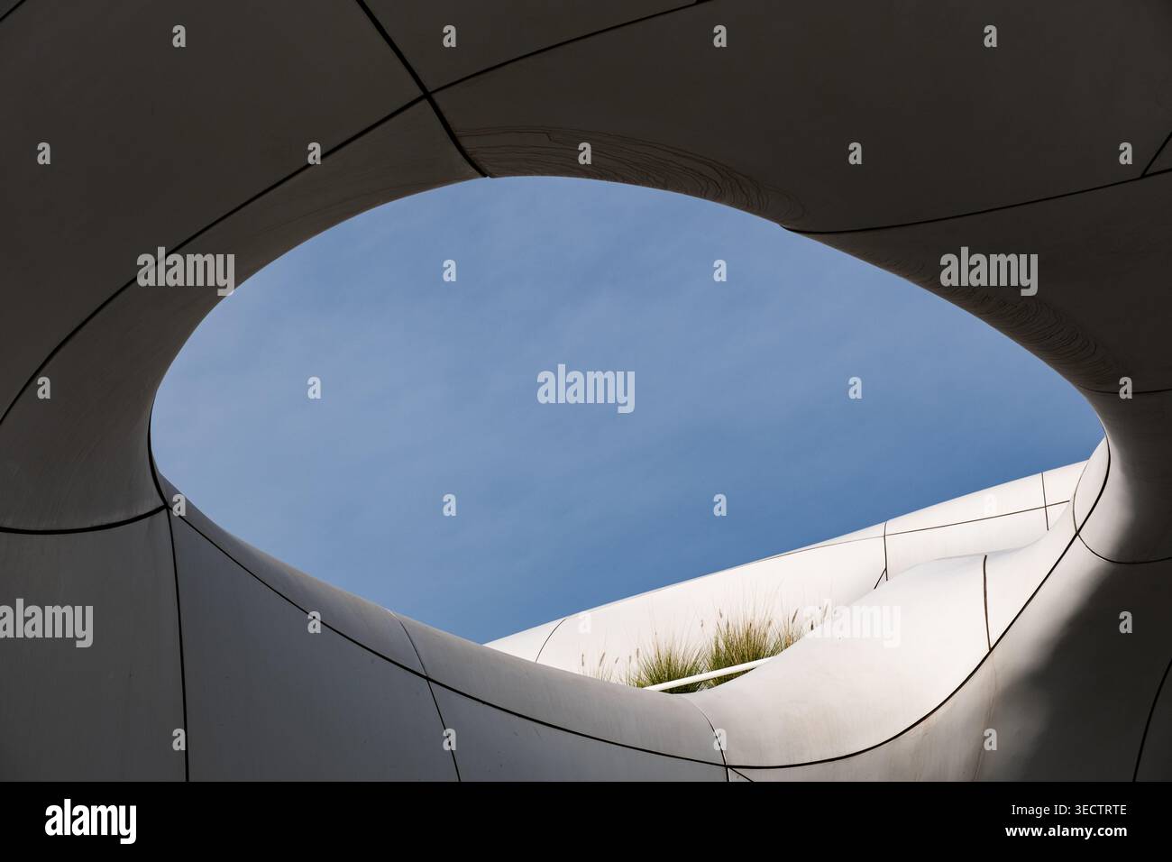 Abstract architectural frame with organic shape and minimal design Stock Photo