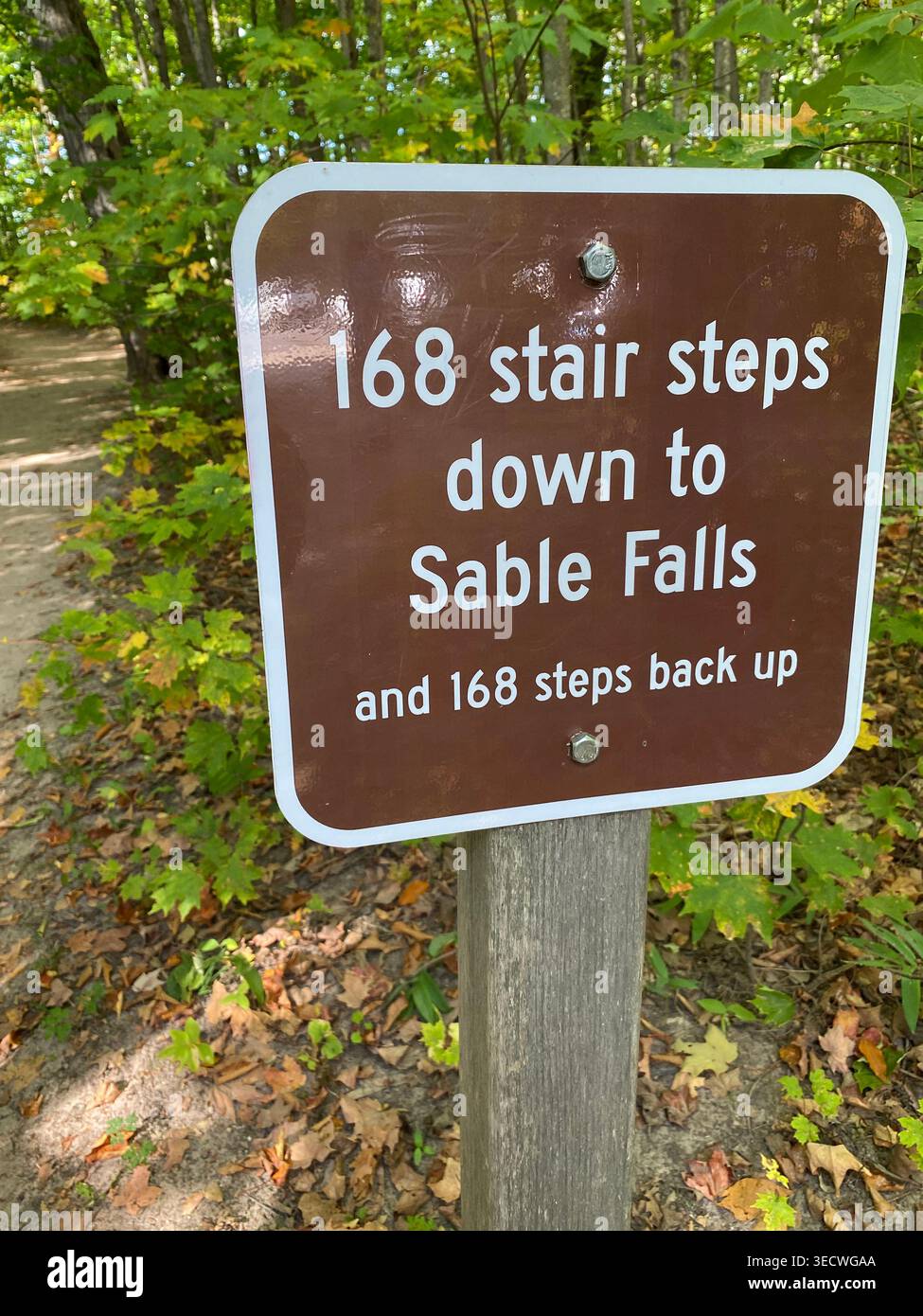 An informational sign for Sable Falls at a trailhead, leading into a forest, in Grand Marias, Michigan, USA - Smartphone Captured Stock Image