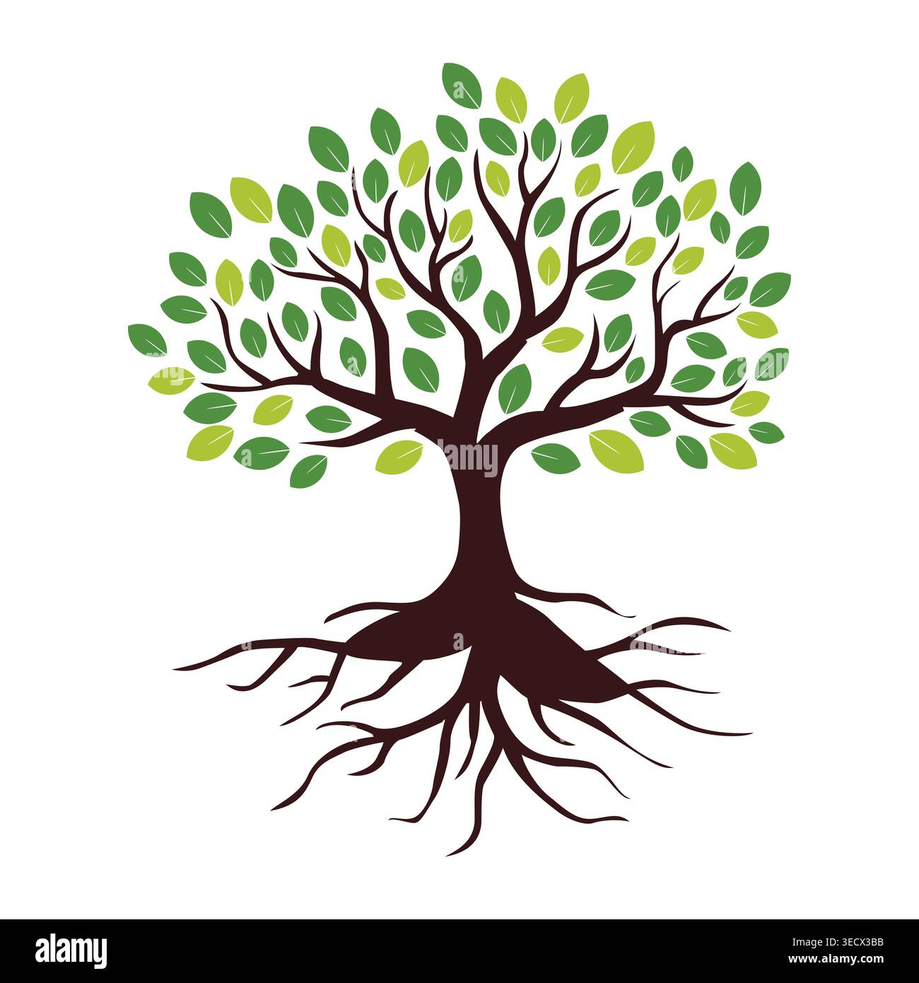 Tree brand logo design branding Stock Vector