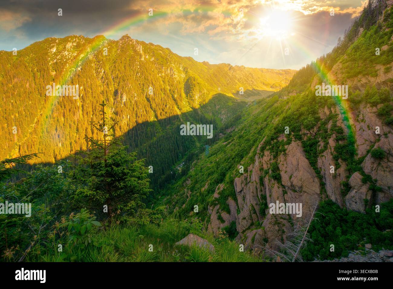sunset over valley in summer mountains. Gorgeous mountainous landscape. Rocky cliffs and forested slopes under cloudy sky. Scenery of mountain ridge i Stock Photo