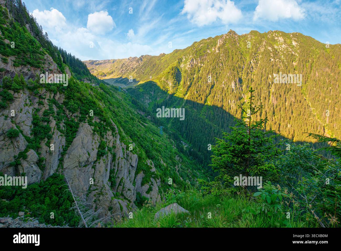 Valley in summer mountains. Gorgeous mountainous landscape of Carpathians. Rocky cliffs and forested slopes under blue sky. Scenery of Fagaras ridge o Stock Photo
