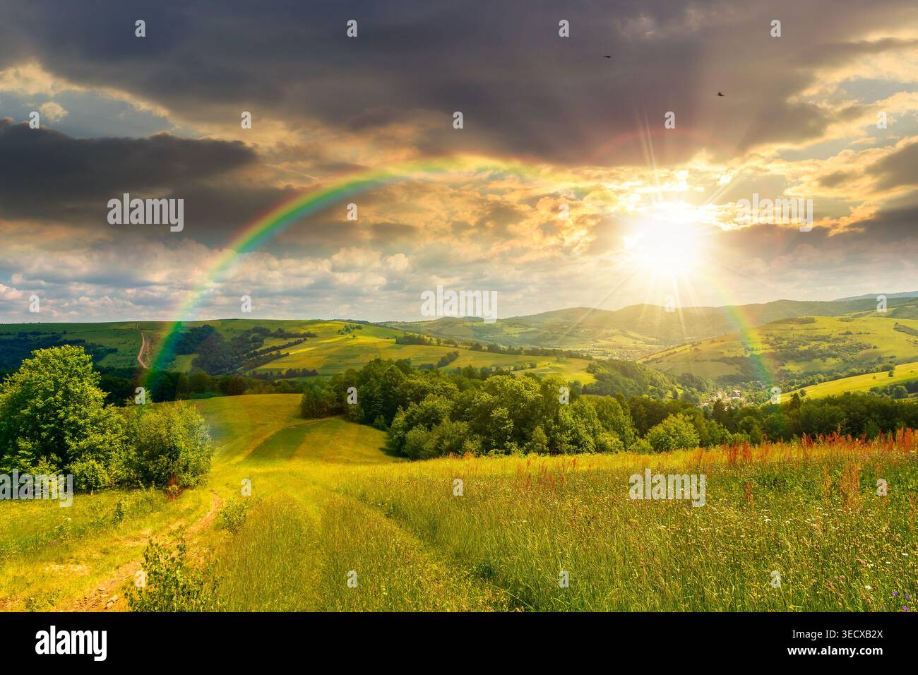 sunset over beautiful countryside of ukraine. wonderful view of summertime landscape in mountains. trail through the grassy field near forested rollin Stock Photo
