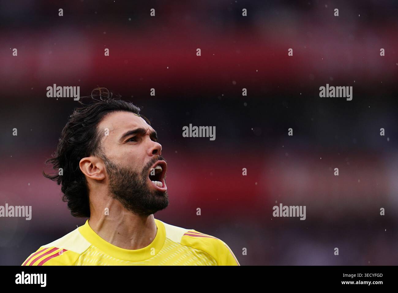 Arsenal goalkeeper David Raya during the Premier League match Arsenal ...