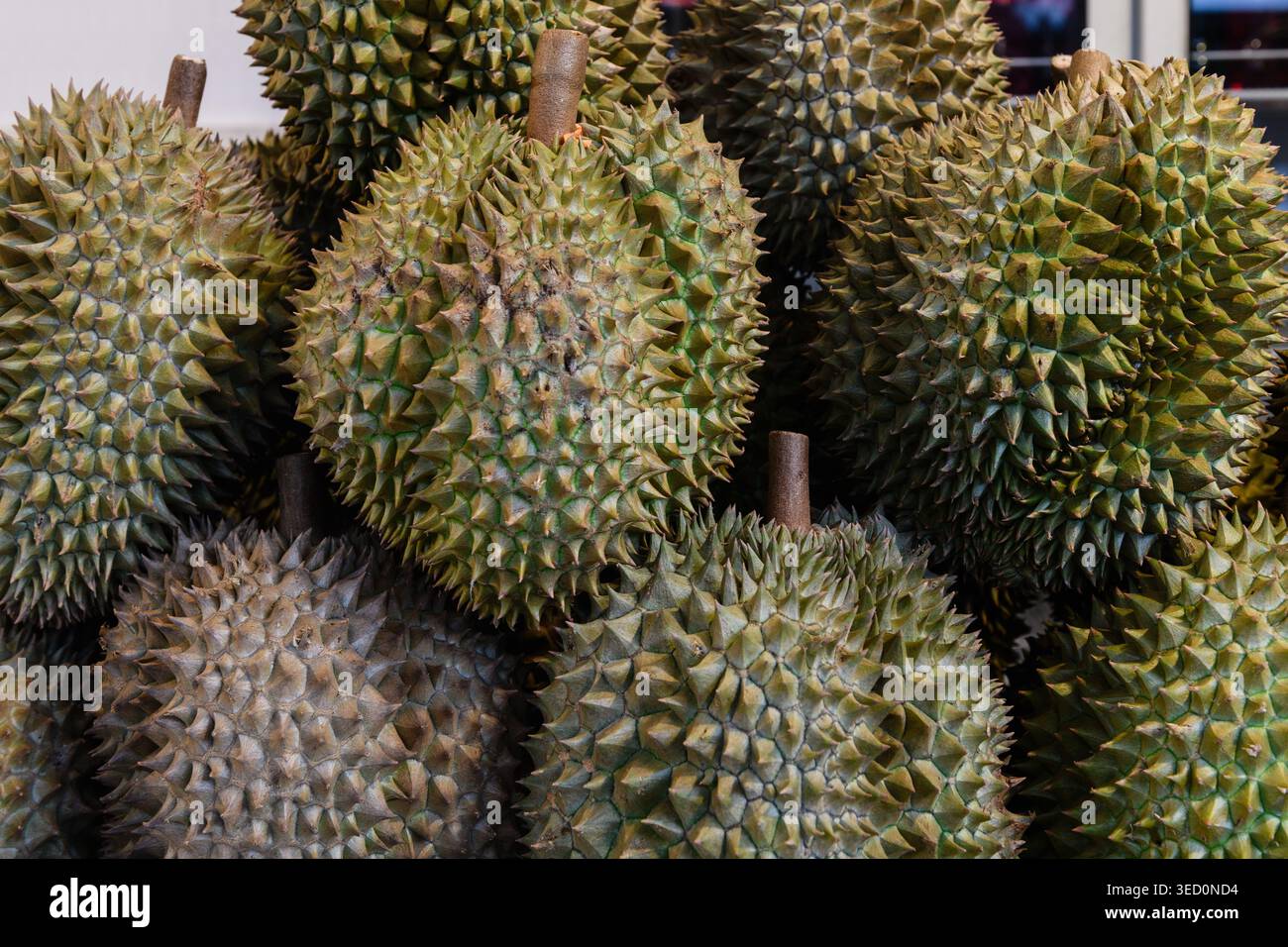Thorn-covered durian fruits piled high at a produce market in Thailand. Stock Photo