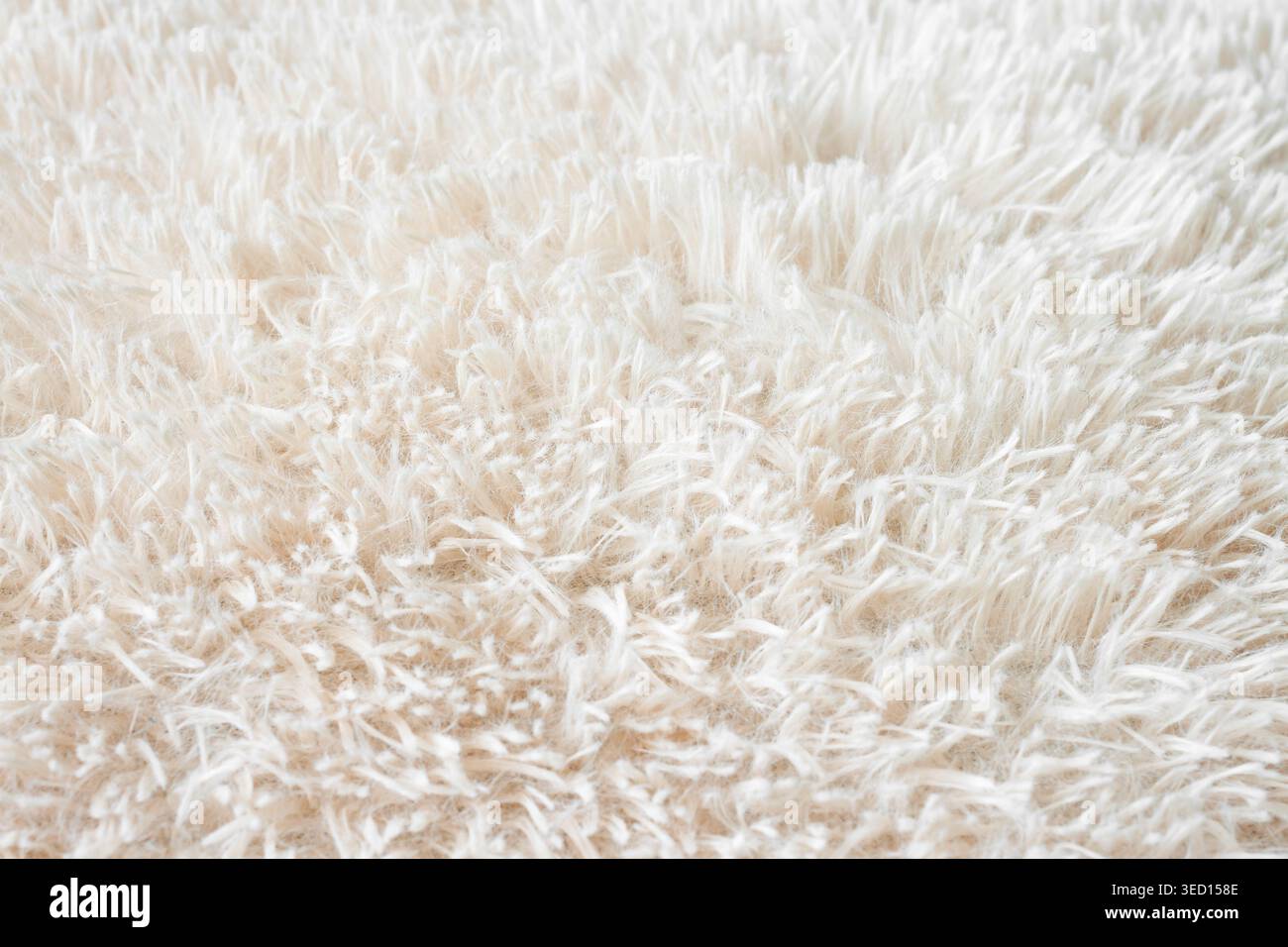 Fluffy long pile soft woolen light beige carpet macro Stock Photo