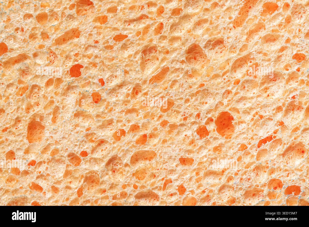 Natural sponge texture detailed macro abstract background Stock Photo