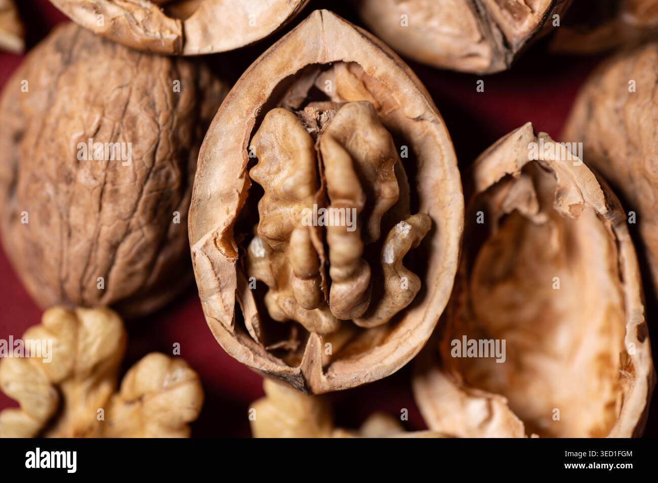 Walnuts are displayed in their shells on a background. Stock Photo