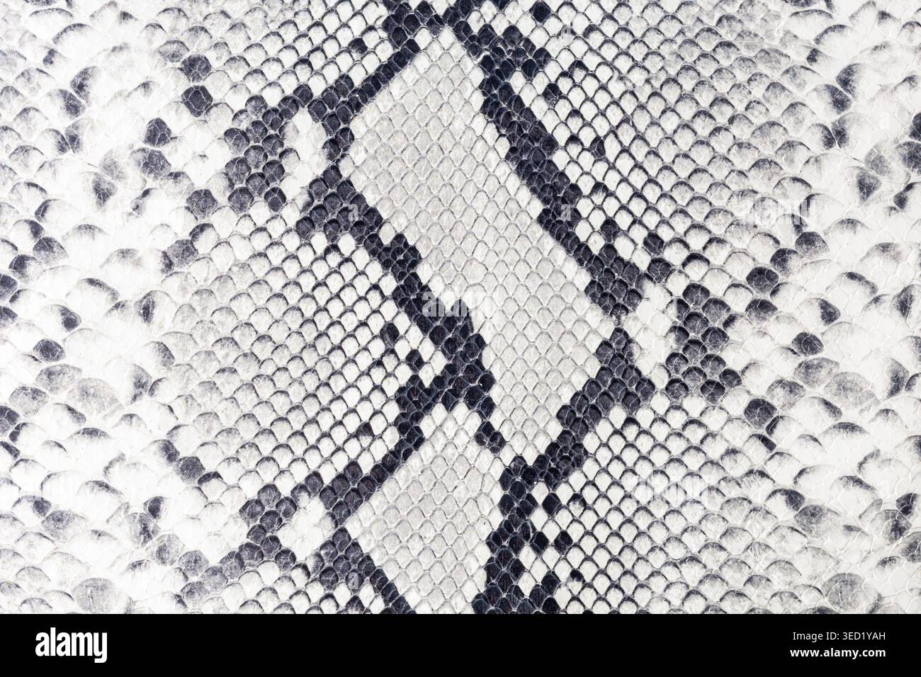 Textured python snake print on pure leather as background with copy space. Abstract empty soft snake leather texture sample. Stock Photo