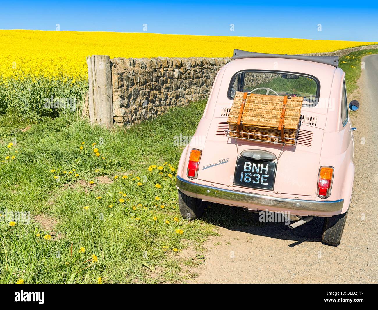 Rear view of a vintage pink Fiat 500 with a picnic basket on a rack parked by a yellow rapeseed field and stone wall under a blue sky - Smartphone Captured Stock Image