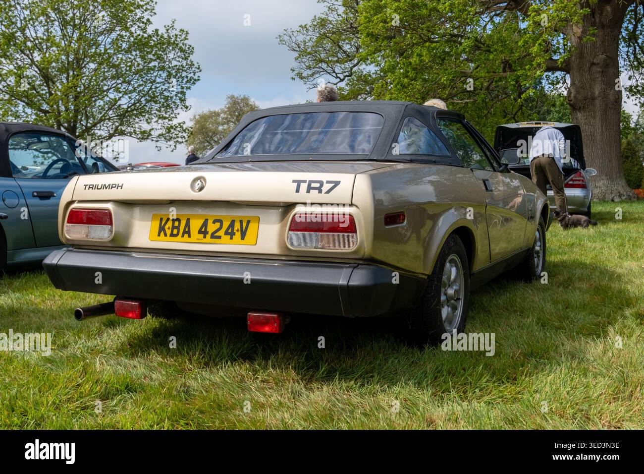 Tr7 Rear Photo The rear end of a vintage Triumph TR7 convertible on display at a free ...
