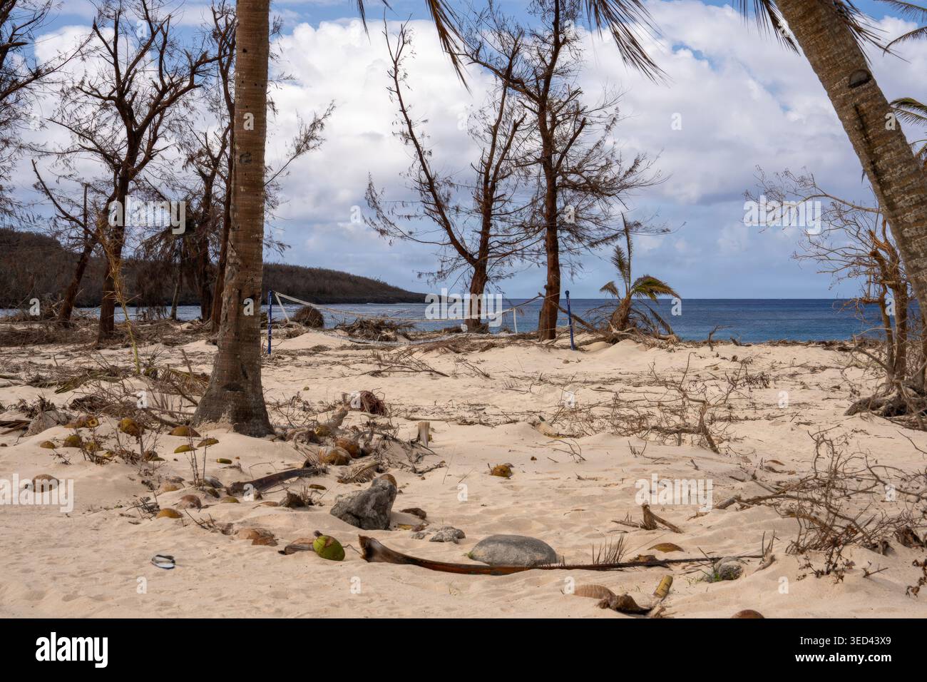 2026 hurricane relief hi-res stock photography and images - Alamy