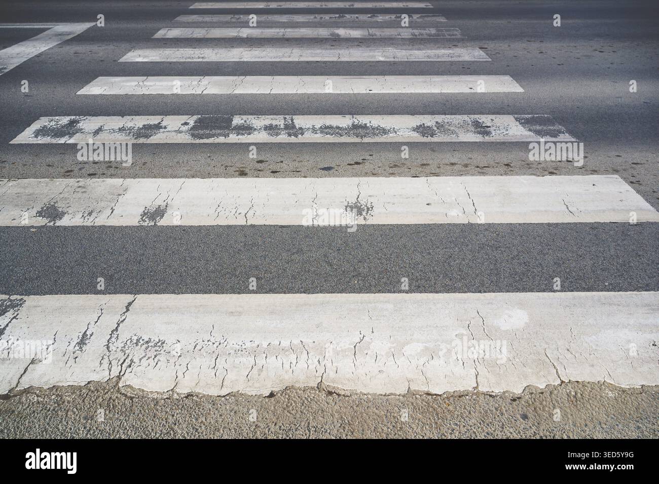 Texture of a weathered pedestrian zebra crossing on asphalt road. Thick white paint stripes heavily cracked and faded. Selective focus. Stock Photo