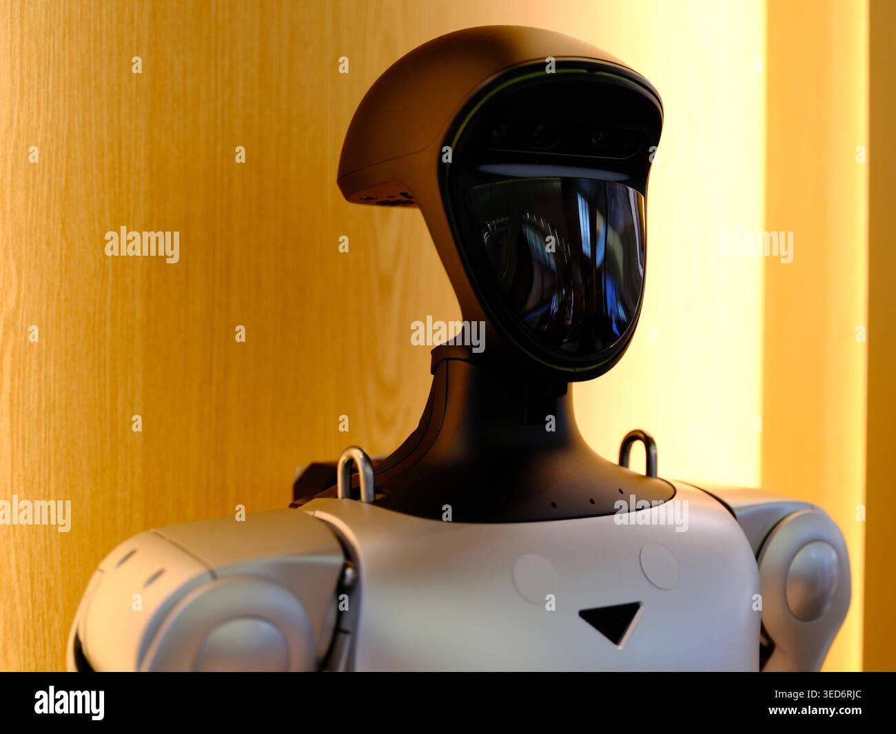 Robot Rjc Visitors watch robot performances at Unitree Robotics' first directly ...
