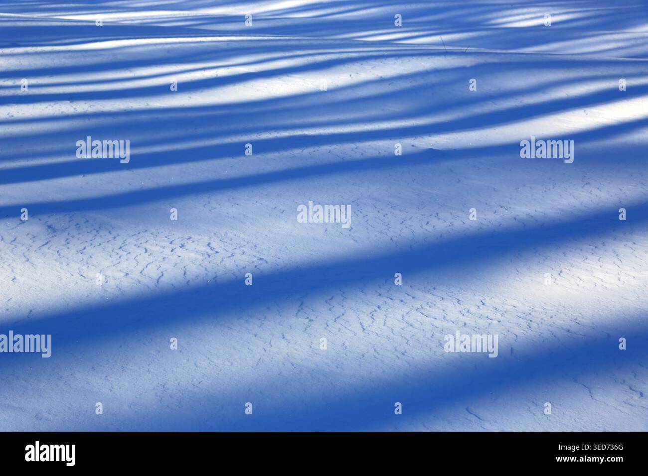 abstract background with blue long shadows on fresh snow Stock Photo