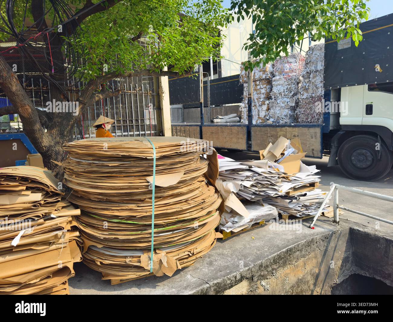 industrial paper recycling operation, loading of waste materials ...