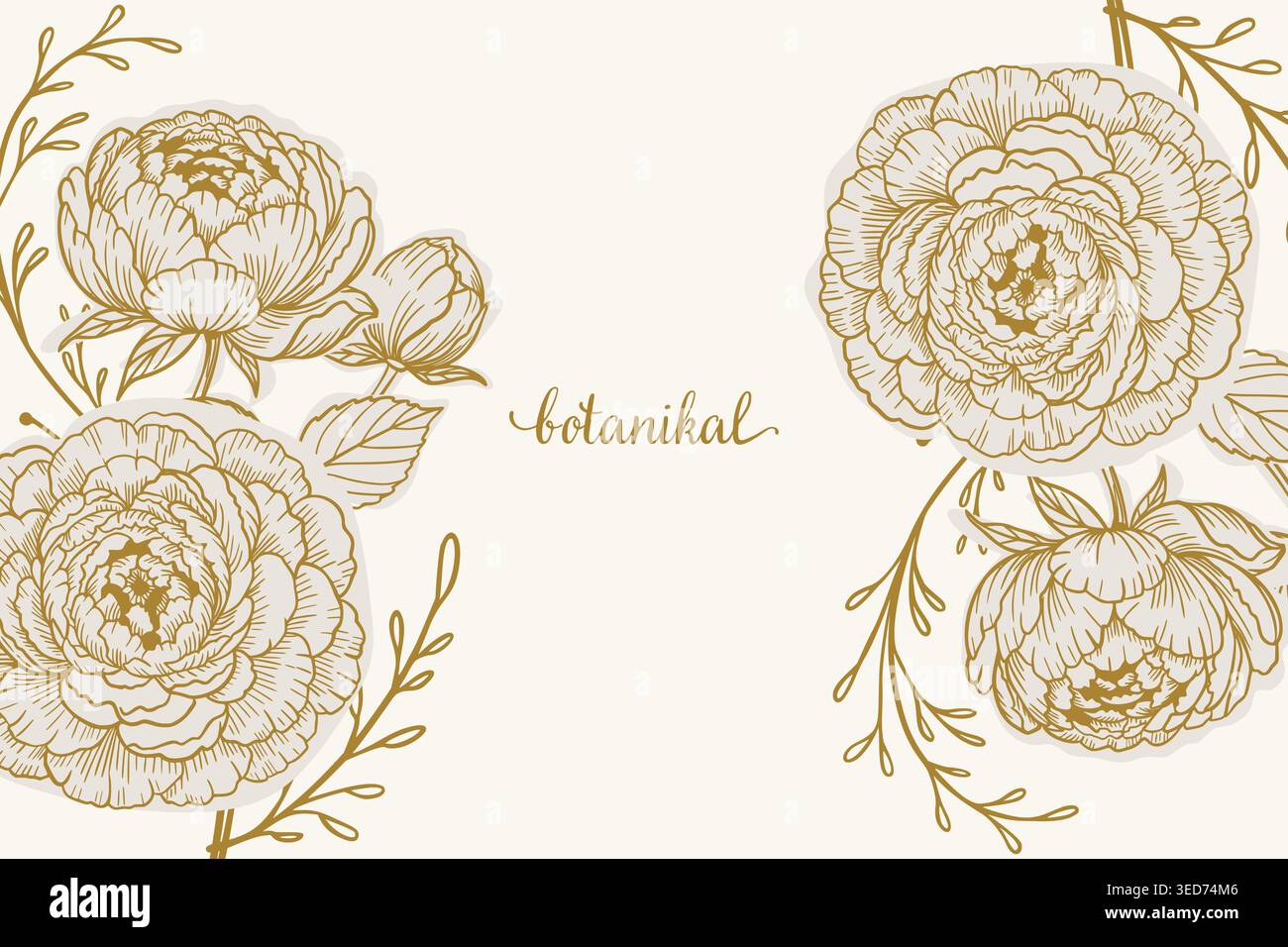 Golden botanical banner with peonies and leaves for wedding or greeting cards Stock Vector