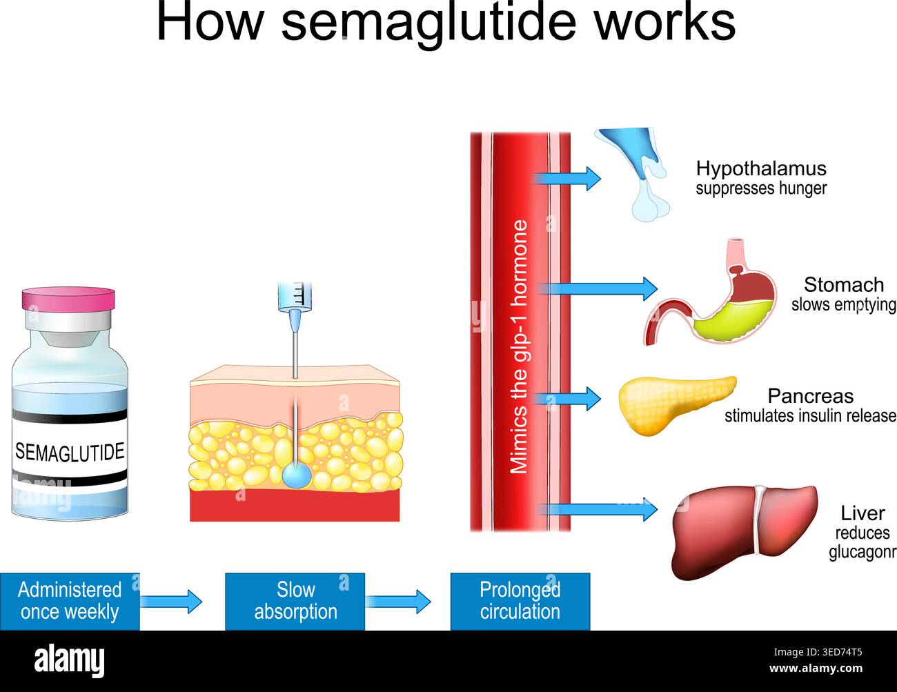 semaglutide in duluth Best Duluth, GA Semaglutide (Ozempic) GLP-1 Injections Near Me