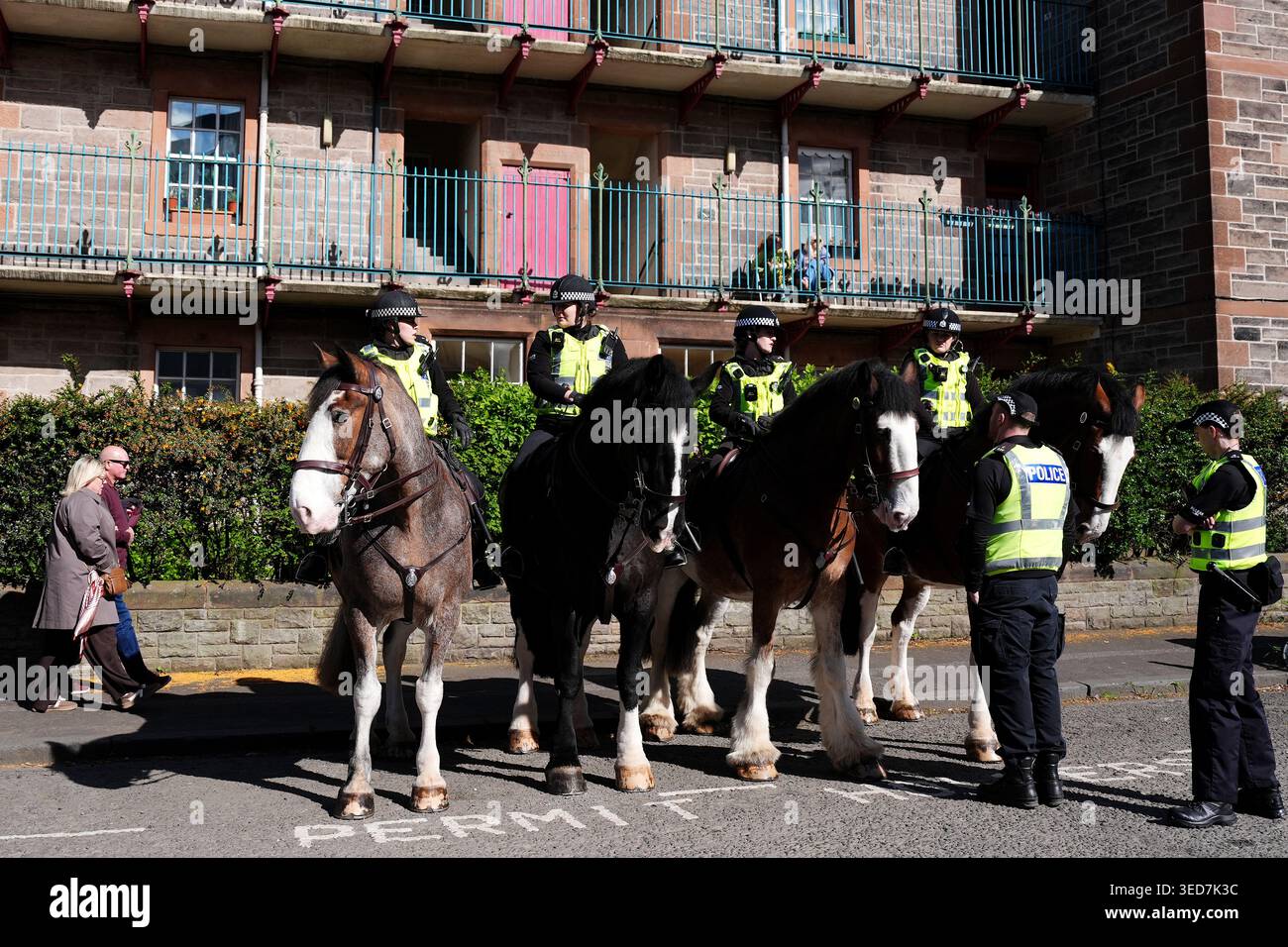 Mounted police ahead of the William Hill Premiership match at ...