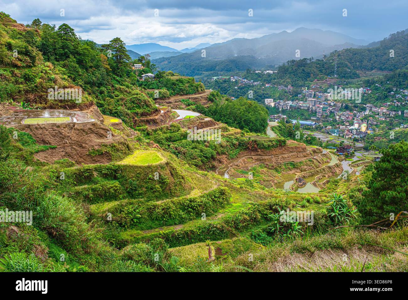 Philippines, Luzon island, Cordillera region, Ifugao Province ...