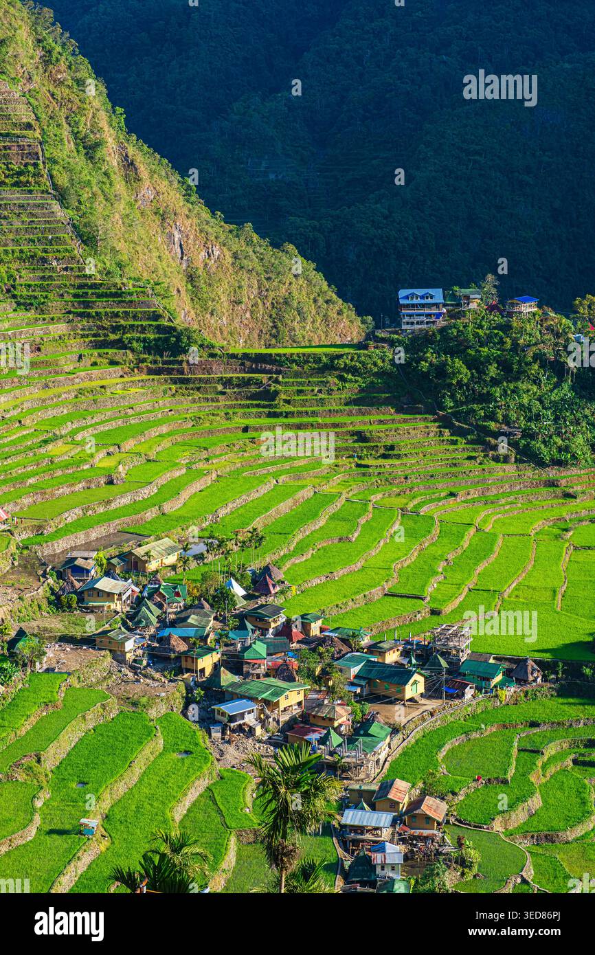 Philippines, Luzon island, Cordillera region, Ifugao Province, Batad ...