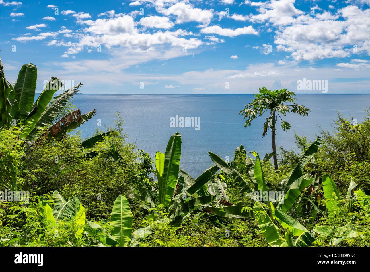 Nosy Tanikely, Madagascar. Tropical Landscape and Green Surroundings with Plants and Coastal Vegetation. Stock Photo
