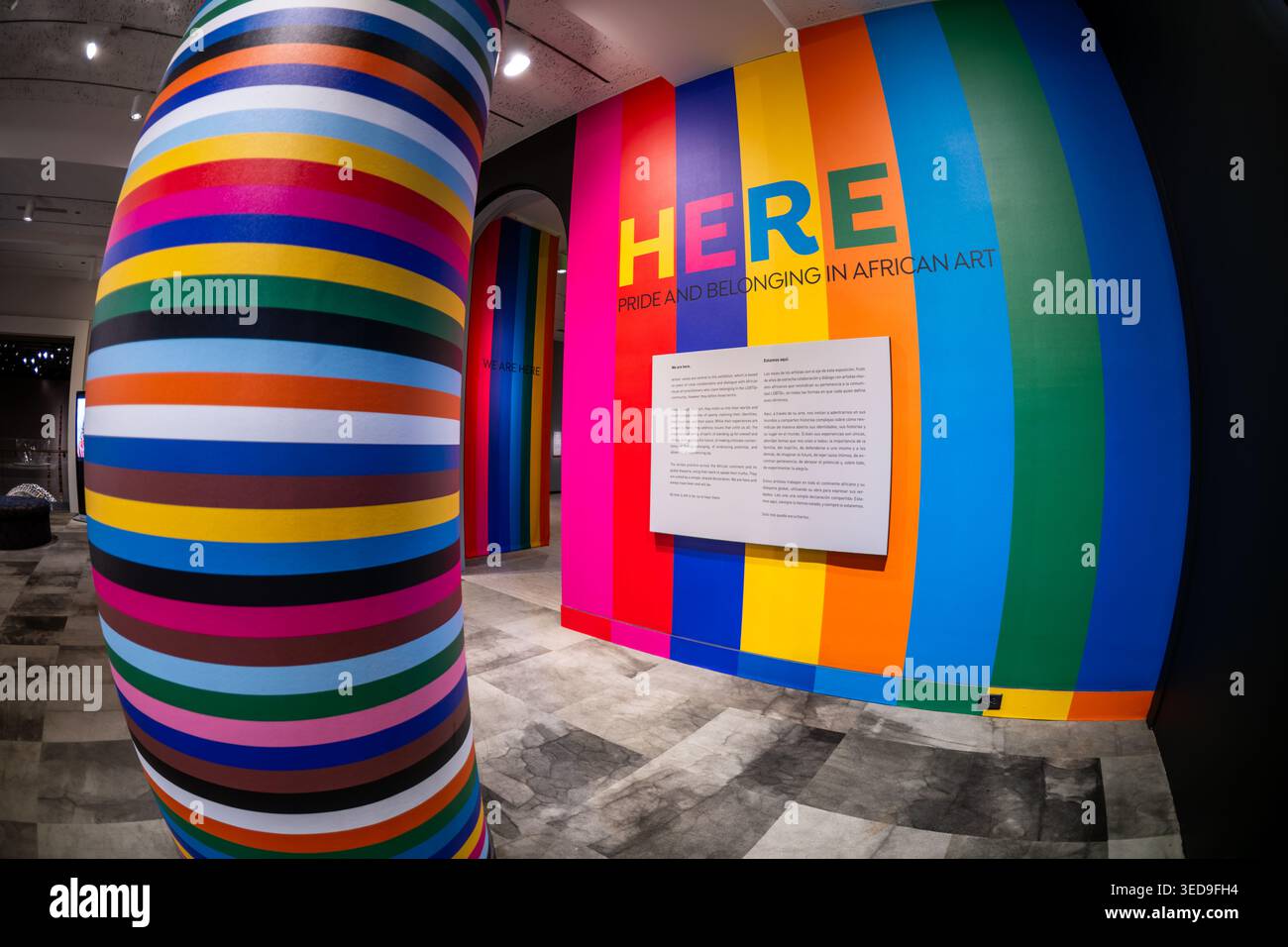HERE Pride And Belonging Exhibit Multicolored Striped Column Washington ...