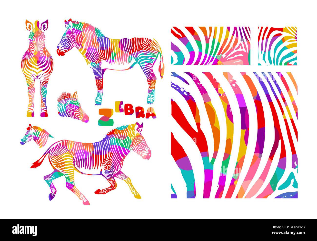 colored zebra set. Hand drawn. Not AI, vector illustration. Stock Vector
