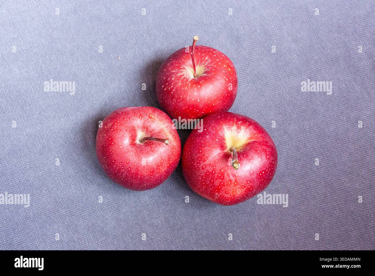 Three gala apples on grey background Stock Photo