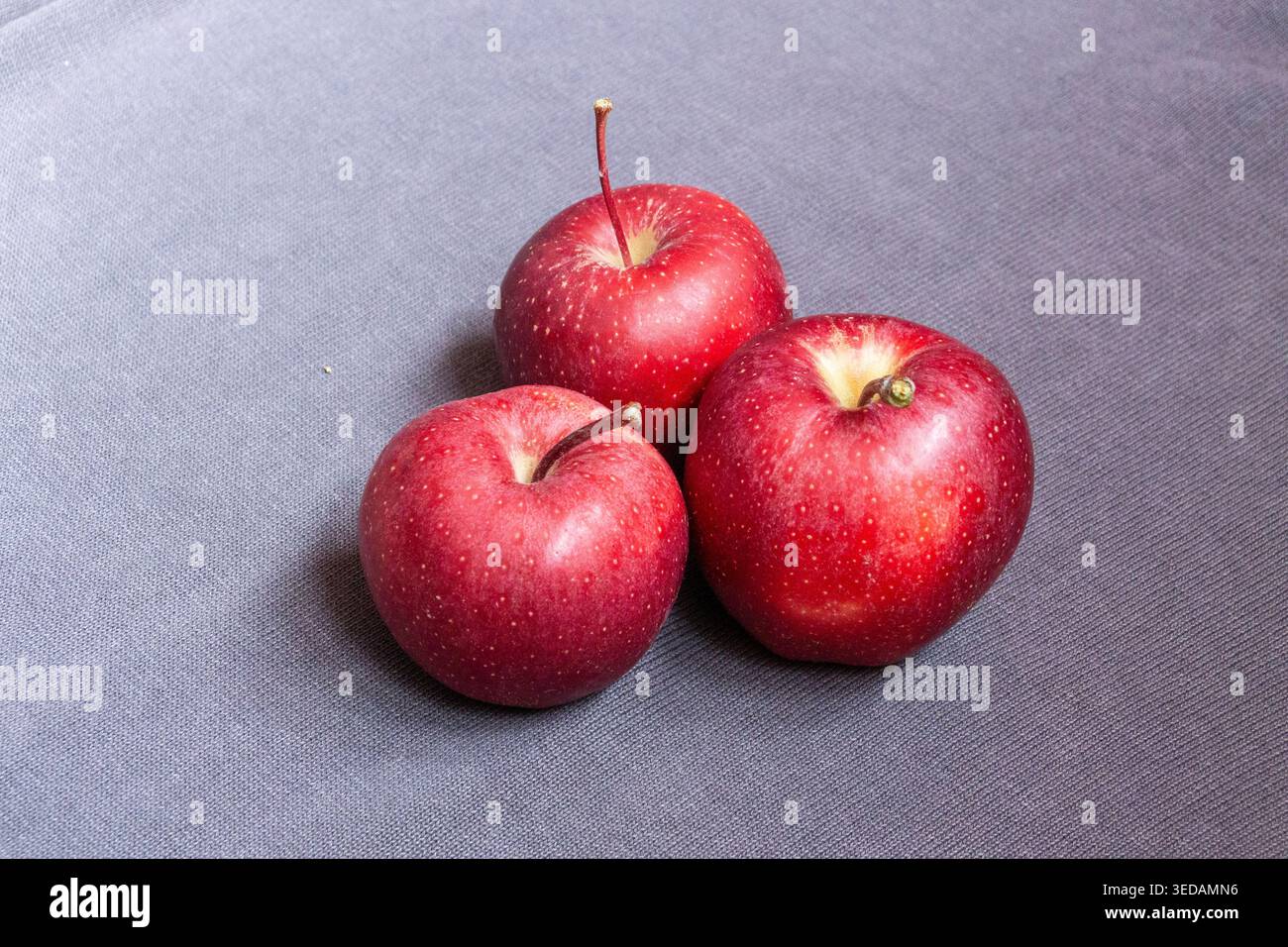 Three red apples on grey background Stock Photo