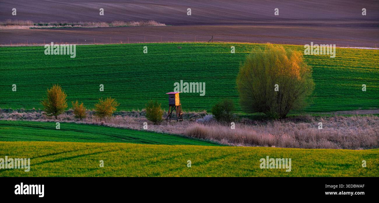 Spring Marging A hunting tower in the spring fields, crisscrossed by ecological field ...
