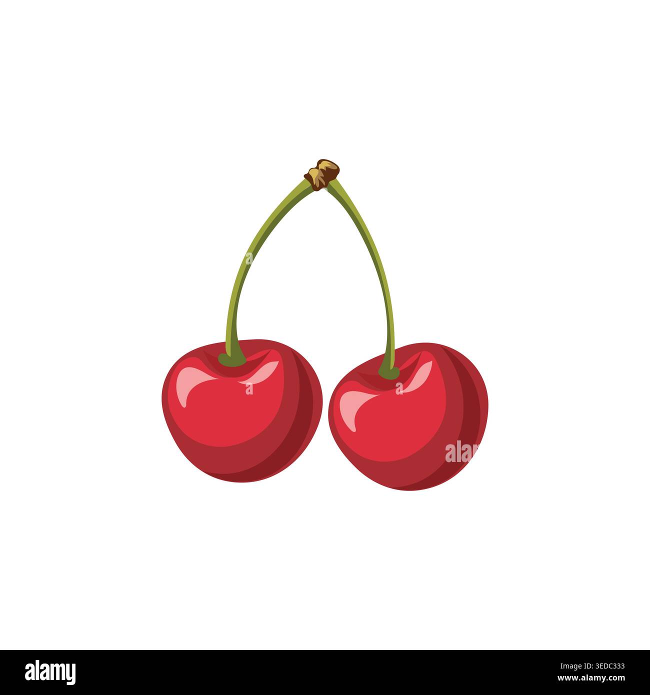 Red cherry fruit vector illustration isolated on white background Stock Vector