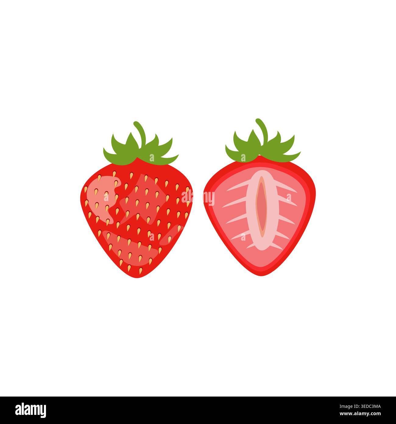 Two ripe strawberries vector illustration, fresh fruit concept Stock Vector