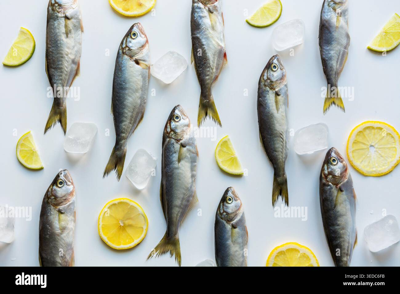 Fresh bluefish with lemon on white background. Fish pattern. View from above. Flat lay. Stock Photo