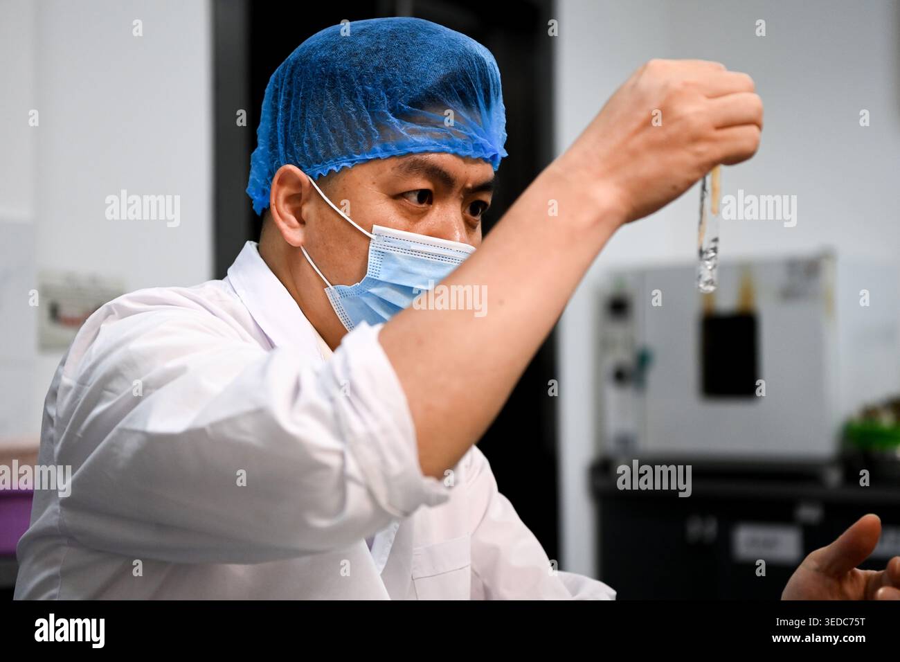 (260505) -- NANNING, May 5, 2026 (Xinhua) -- Li Ren checks the sourness of pickled bamboo shoots at the laboratory of a Luosifen company in Liuzhou, south China's Guangxi Zhuang Autonomous Region, May 1, 2026.  Known for its pungent smell, Luosifen is an iconic delicacy of Liuzhou. It features rice vermicelli soaked in a spicy broth nicely flavored with river snails, topped with ingredients such as pickled bamboo shoots, string beans, peanuts, and fried tofu skin. In 2021, it was included in the fifth batch of China's national intangible cultural heritage list.    The distinctive smell and tas Stock Photo