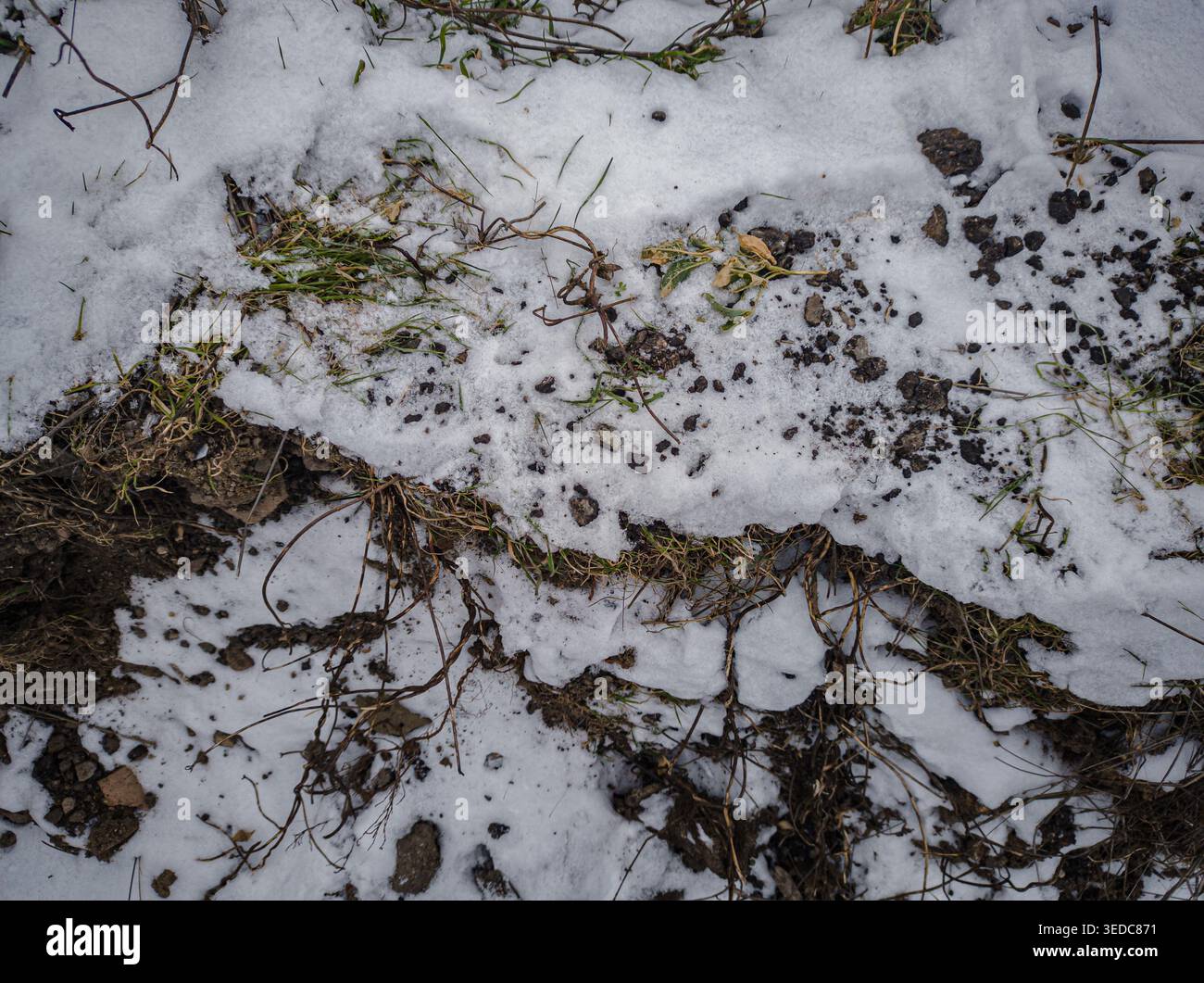 Patchy snow on soil with grass and rocks Stock Photo