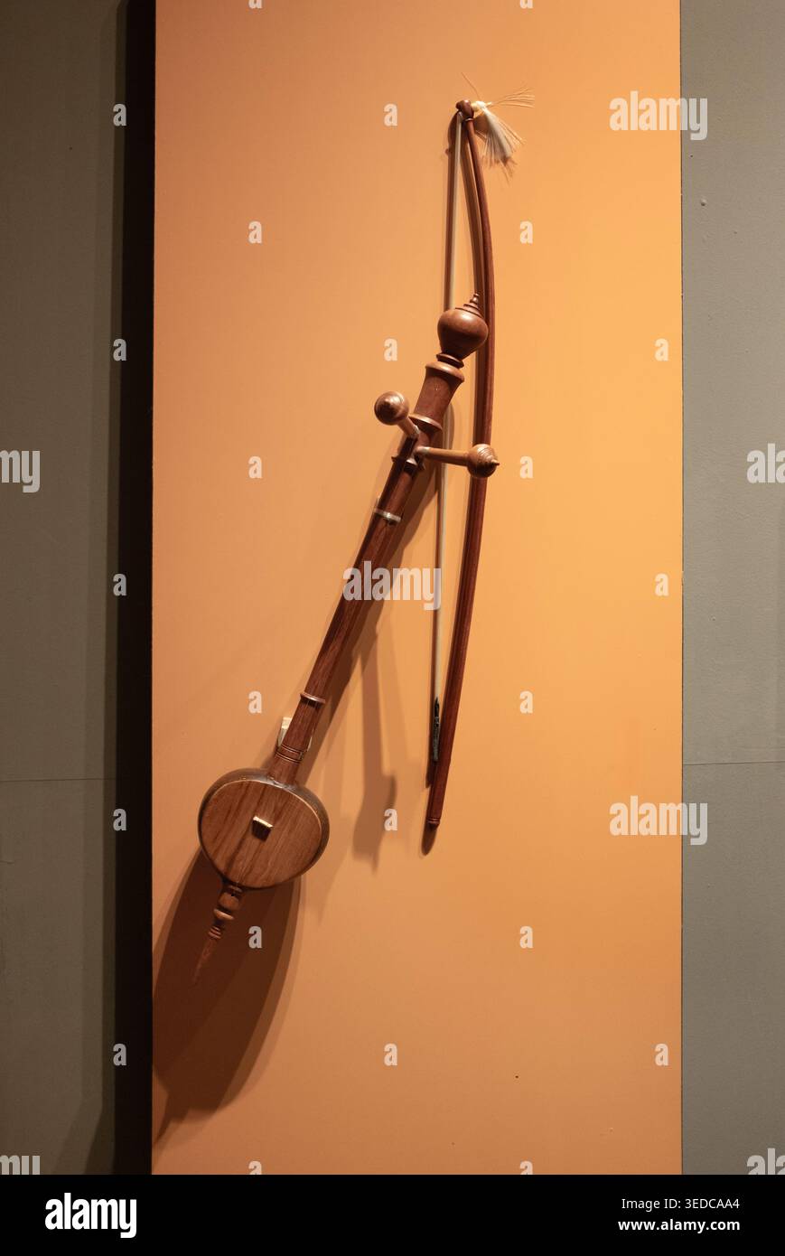 Pin Pia String Instrument Musical instrument museum hi-res stock photography and images - Alamy