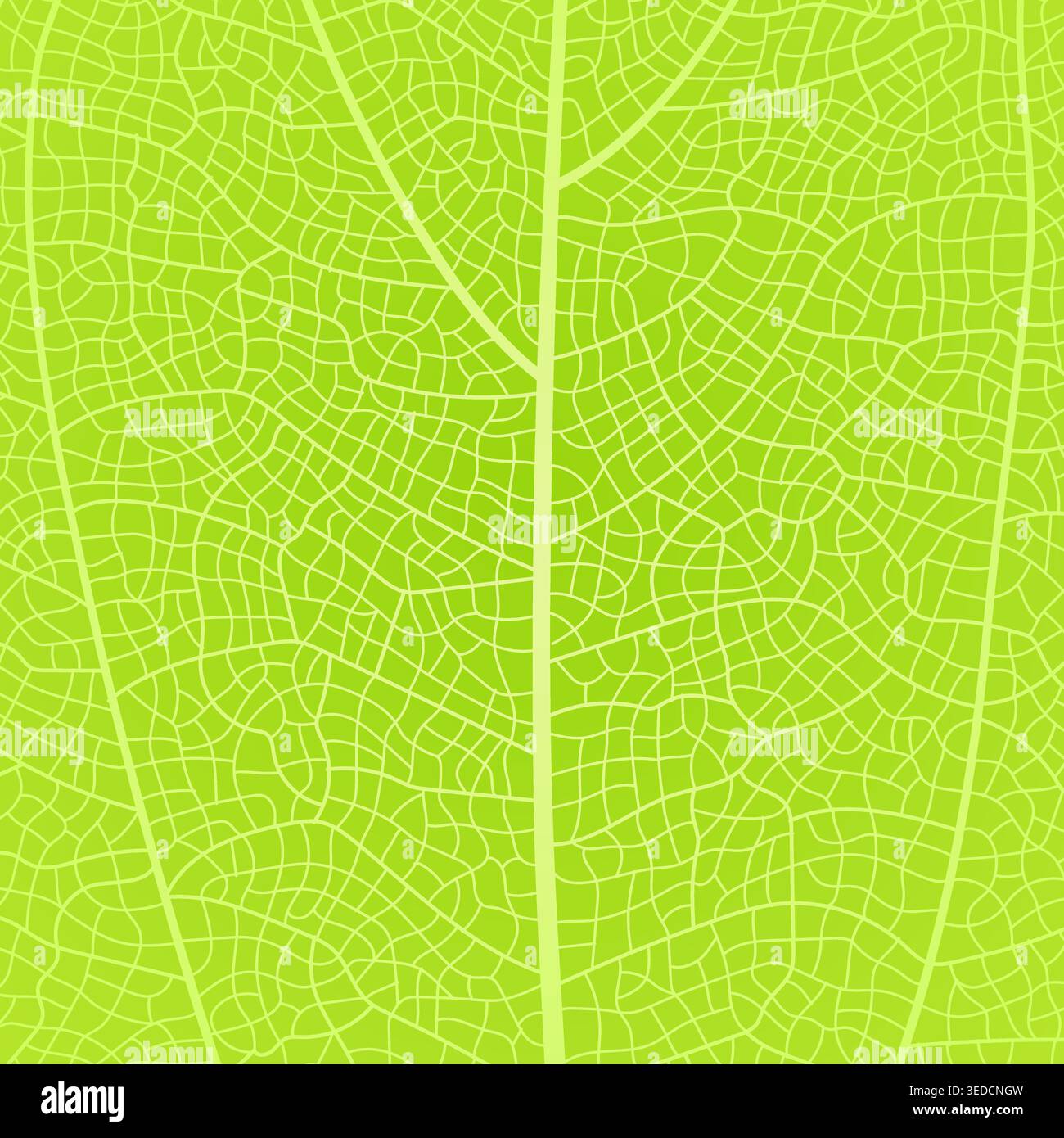 Leaf vein texture abstract background with close up plant leaf cells ornament texture pattern. Stock Vector
