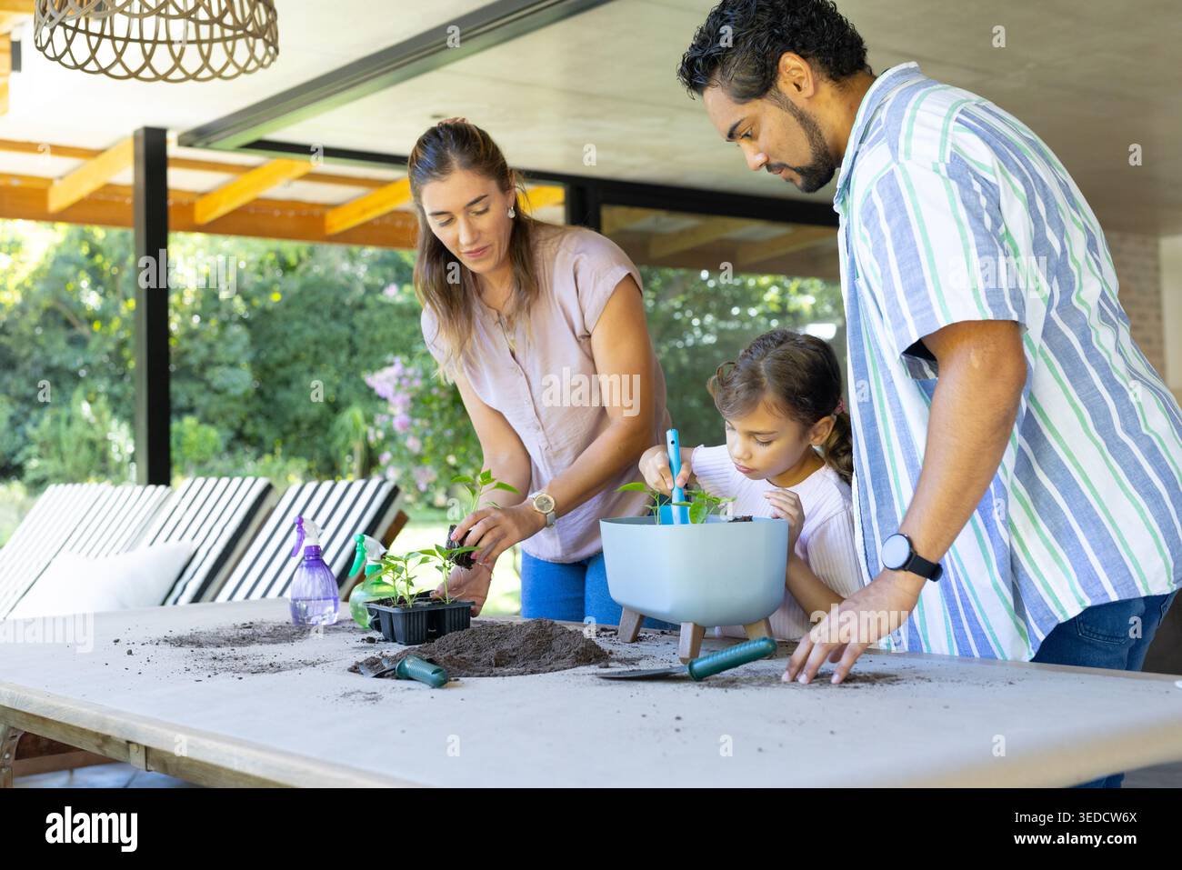 Parents Planting Family parents and daughter gardening on covered patio, planting ...