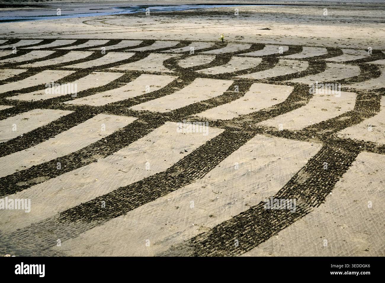Sand Raked Patterns Graphic pattern raked into the sand on KareKare Beach, New Zealand ...