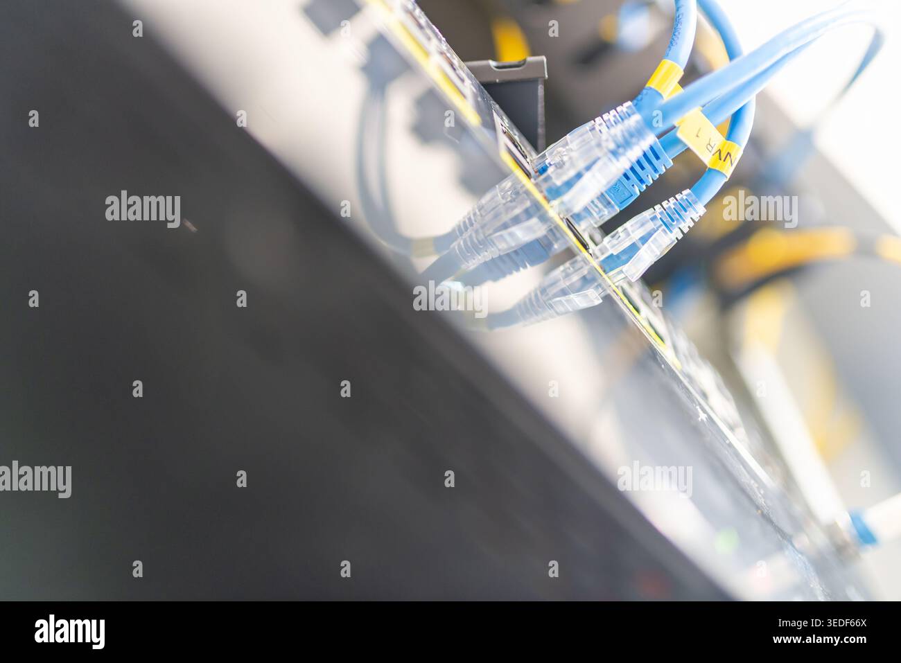 Close-up view of network cables connected to a server panel, showcasing technology and communication infrastructure in a modern computing environment. Stock Photo
