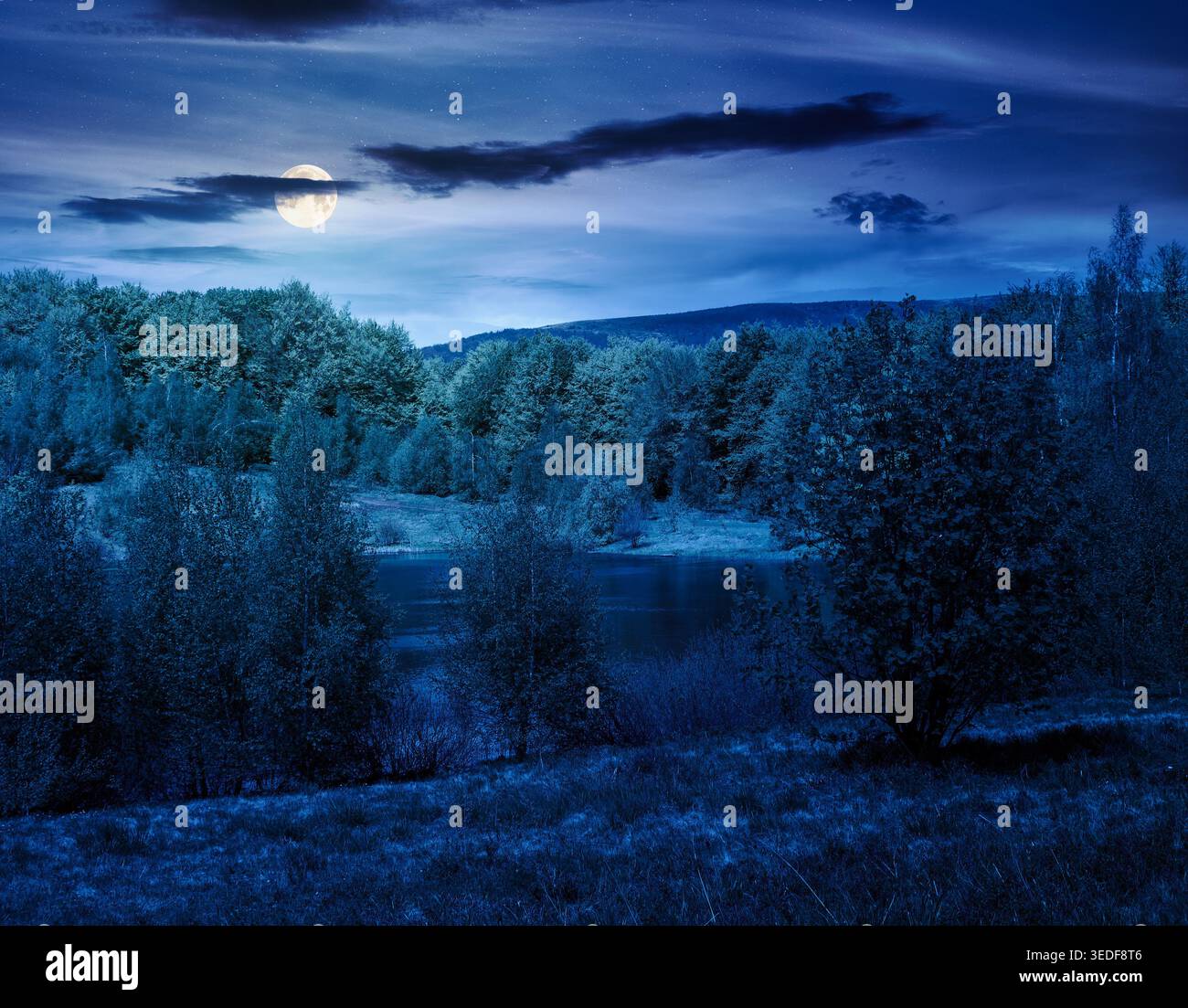 landscape by the lake at night. full moon over deciduous forest near the glacial lake. mysterious view of fantasy forest of carpathian mountains in sp Stock Photo