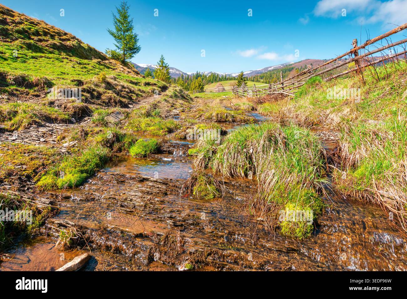 rural scenery in carpathian mountains of ukraine. simple view of a countryside mountain landscape during sunny forenoon in springtime. brook near the Stock Photo
