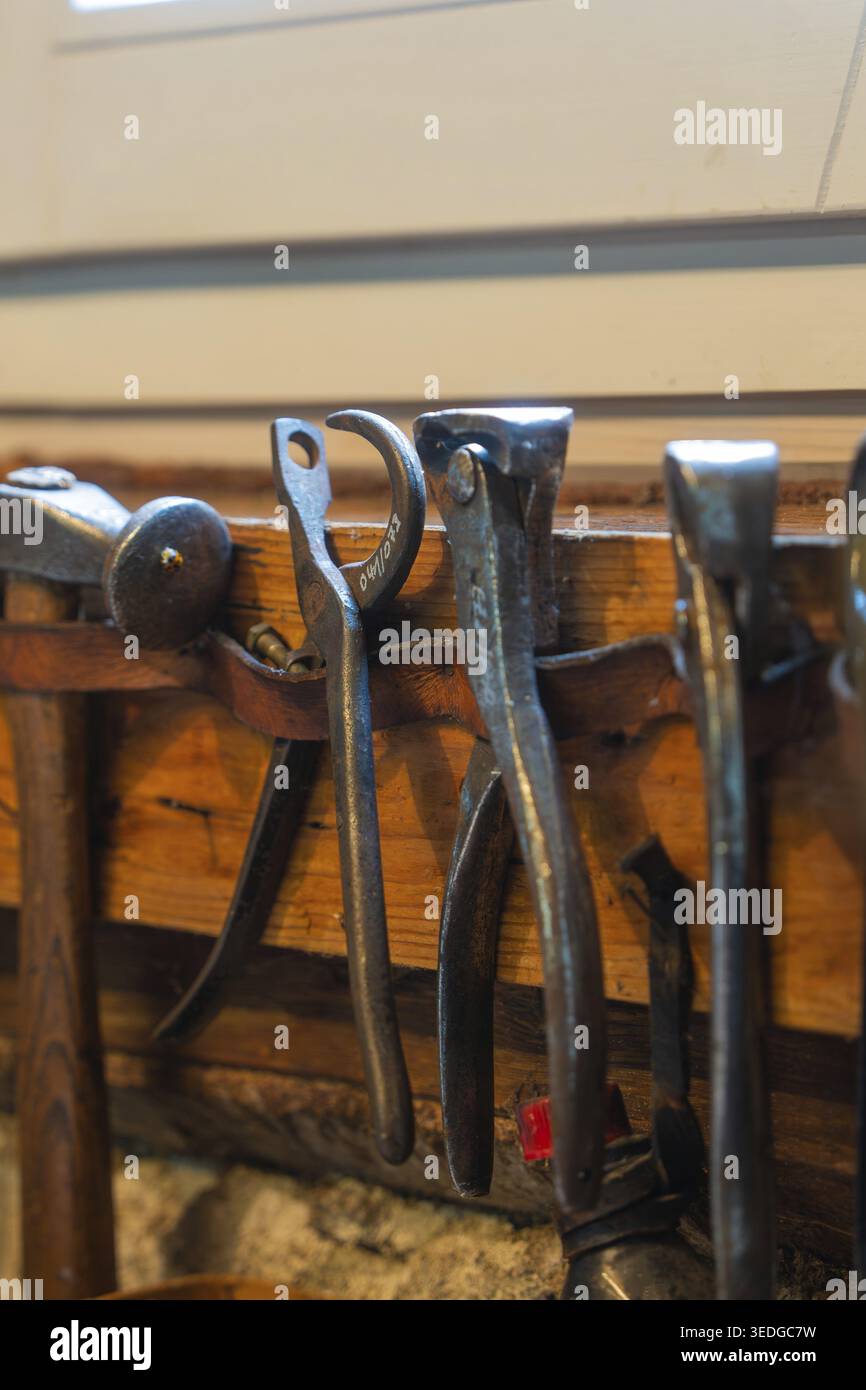 Various hand tools hang on a wooden panel, local history museum, Gechingen, Hecken and Gaeu region, Calw district, Germany Stock Photo