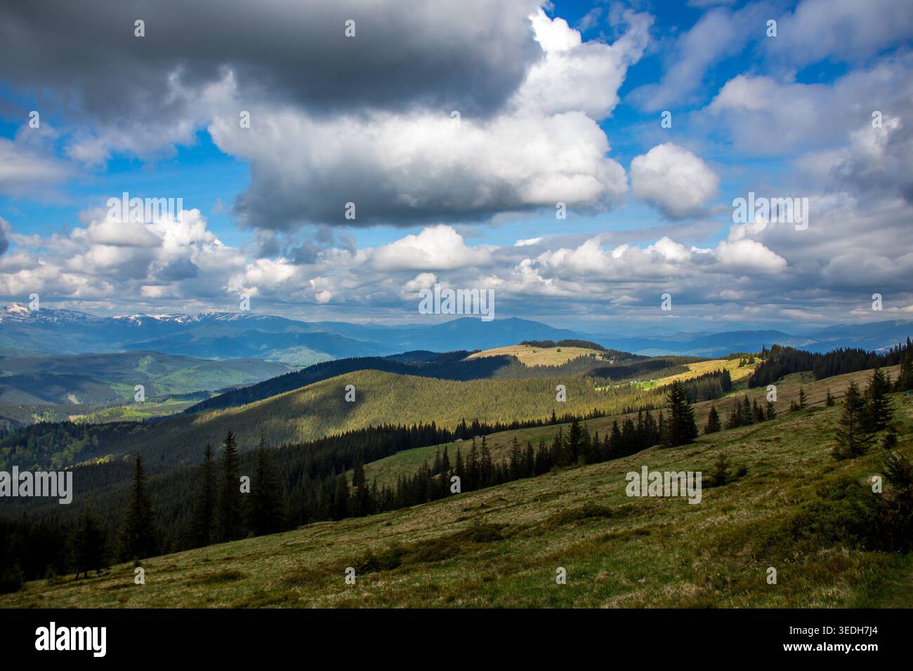 Sunlit patches drift across rolling spruce covered hills while dramatic clouds gather above distant ranges. The sweeping view captures the rhythm of w Stock Photo