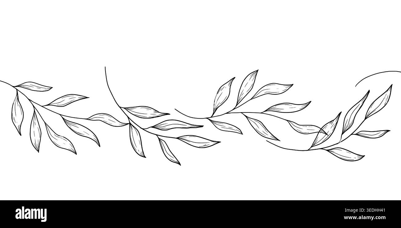 Spring branches of willow or olive, the sketch is hand-drawn. vector illustration. Seamless border, bamboo or eucalyptus branches pattern, isolated on Stock Vector